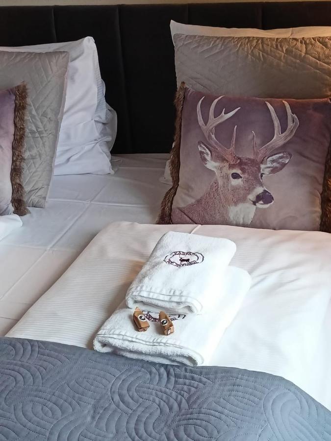 Apartament Pod Jeleniem Карпач Екстериор снимка